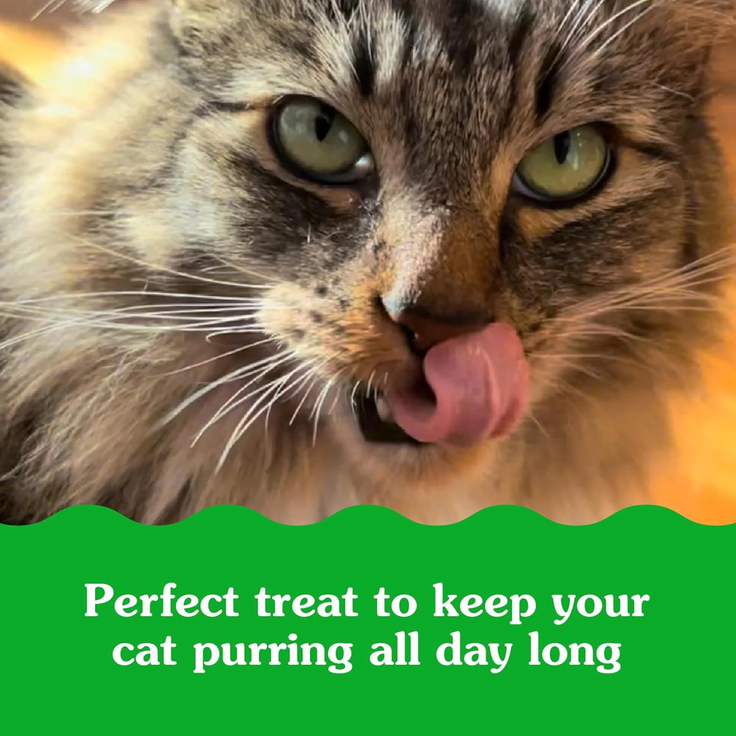 imageGreenies Feline Smartbites Skin ampamp Fur Health Crunchy and Soft Cat Treats Chicken Flavor 16 oz TubChicken