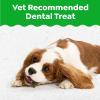 Greenies Veterinarian-Recommended Natural Dental Puppy Treats Regular Size, 6 oz. Pack, 6 Count(Original)