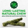 Greenies Occupy Twists Natural Dog Treats Large Breed Size Chicken Flavor, 17.1 oz. Pack, 8 Count(4 Count (Pack of 1))
