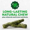 Greenies Occupy Twists Natural Dog Treats Large Breed Size Chicken Flavor, 17.1 oz. Pack, 8 Count(8 Count (Pack of 1))