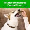 Greenies Veterinarian-Recommended, Limited-Edition Natural Dental Dog Treats Large Size, Pumpkin Spice Flavor, 6 oz. Pack, 4 Count
