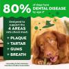 Greenies Veterinarian-Recommended, Limited-Edition Natural Dental Dog Treats Regular Size, Pumpkin Spice Flavor, 6 oz. Pack, 6 Count
