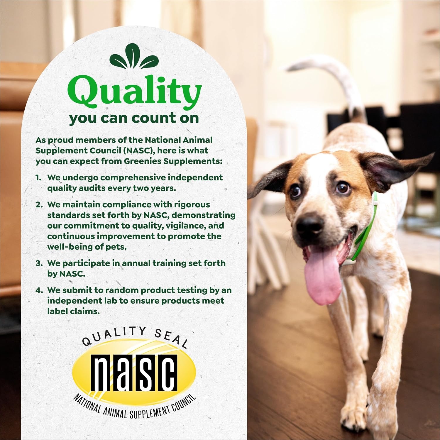 image:imageGreenies Supplements Dog Skin and Coat Supplement with Fish Oil for Dogs amp Omega 3 Fatty Acids Chicken Flavor Soft Chews 147 oz Tub 80 Count Pack of 2