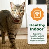 Greenies Feline Smart Purees Healthy Indoor and Skin & Fur Health Lickable Cat Treats, with Real Chicken, with Real Salmon, 0.49 oz. Tubes, 40 Count(Chicken)