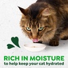 Greenies Feline Smart Purees Healthy Indoor and Skin & Fur Health Lickable Cat Treats, with Real Chicken, with Real Salmon, 0.49 oz. Tubes, 40 Count(Variety Pack: Chicken & Salmon)